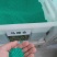 马蹄金种子绿化草坪种子小金钱草铜钱草种子牧草种子