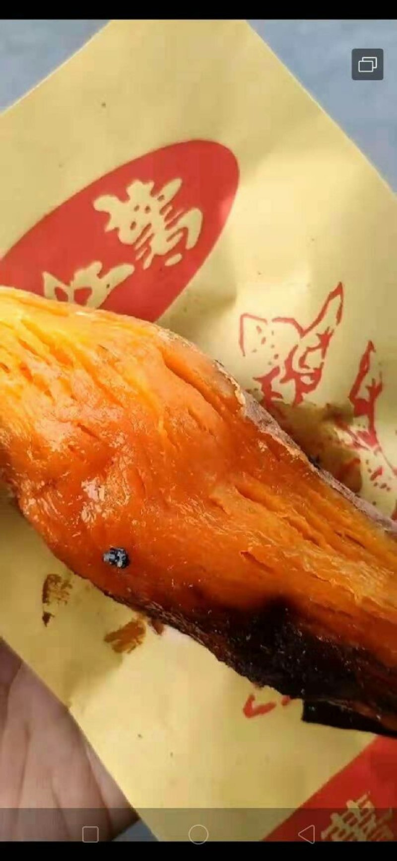 烟薯25