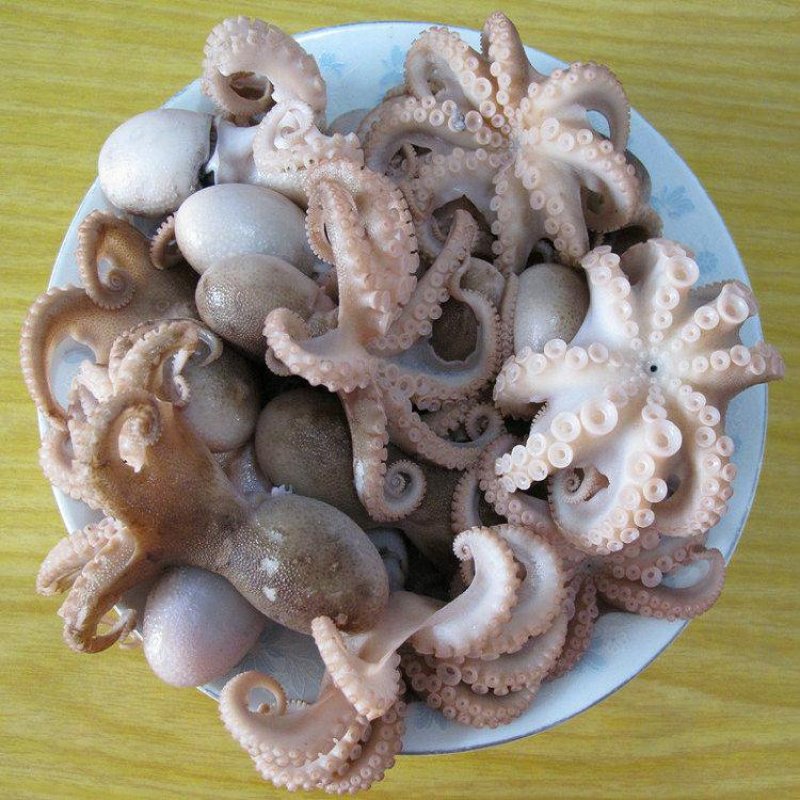 半熟八爪鱼短腿八爪鱼焯水