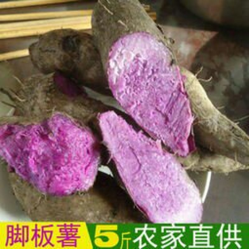 紫山药