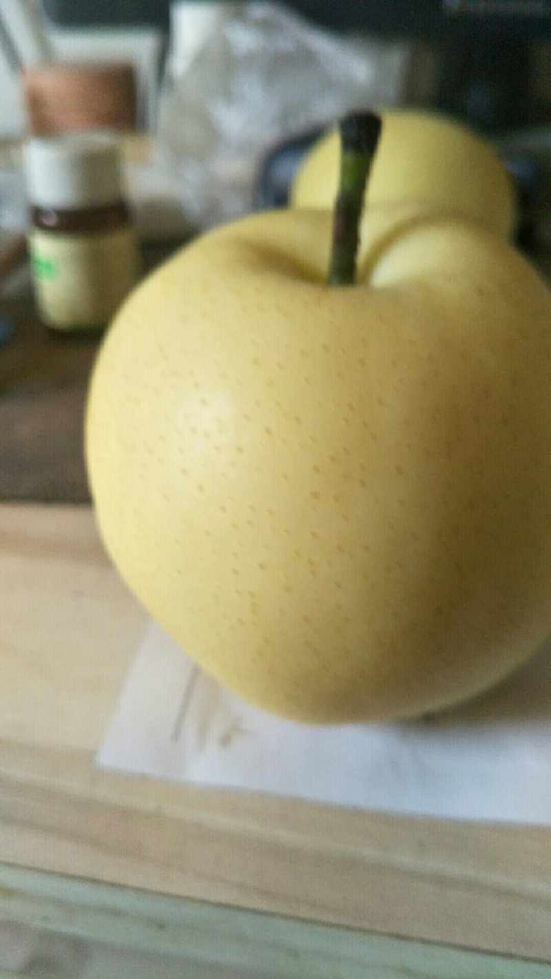 黄金梨