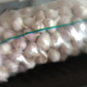 红蒜