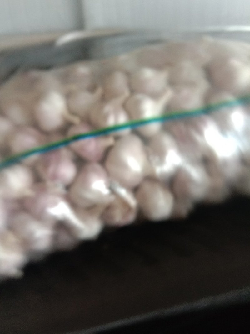 红蒜