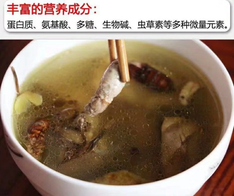 纯野生金蝉花