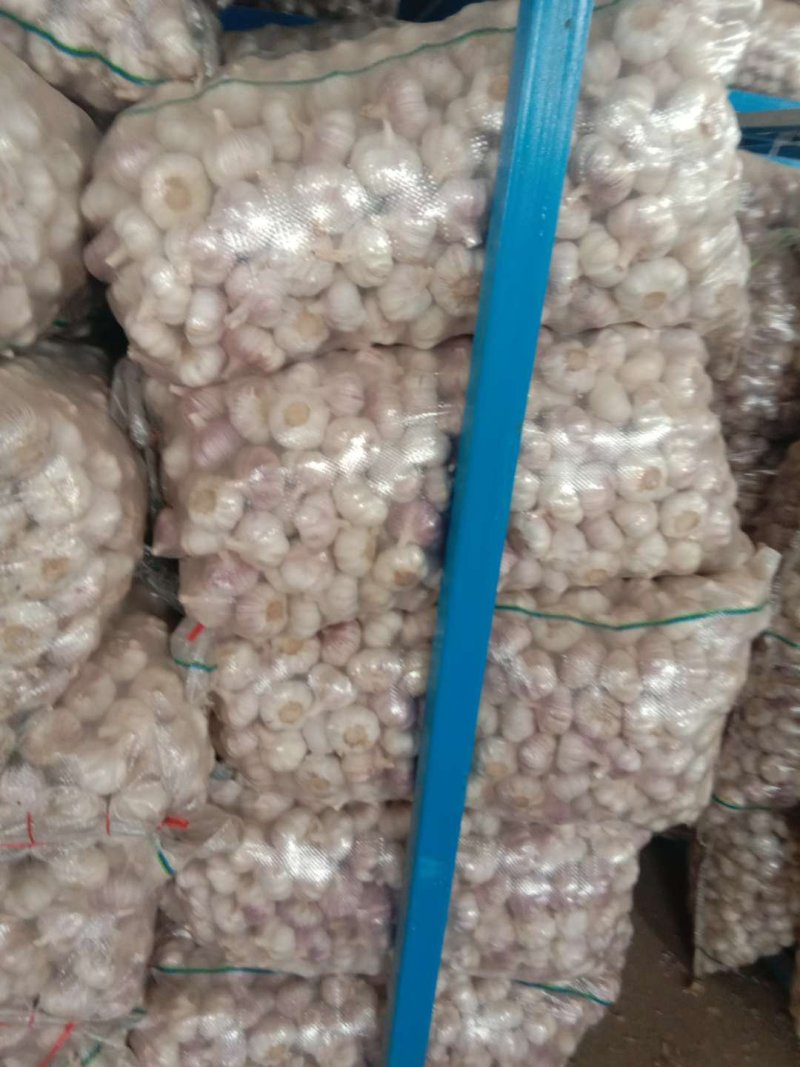 金乡红蒜5cm~5.5cm干蒜