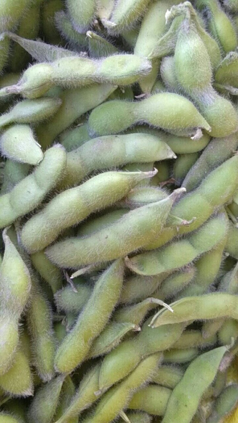 毛豆，25―30克