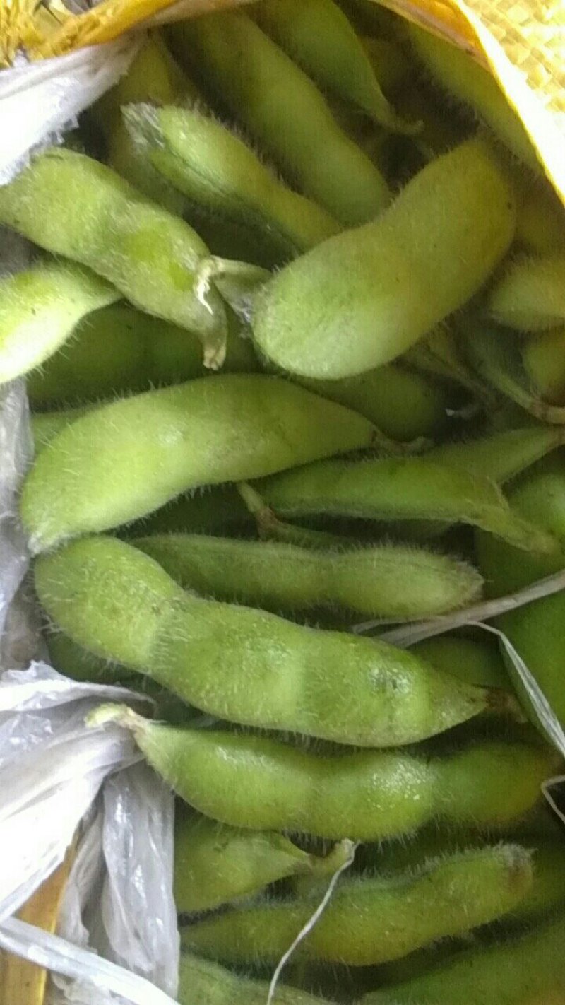 毛豆，25―30克