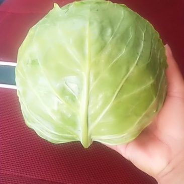 甘兰