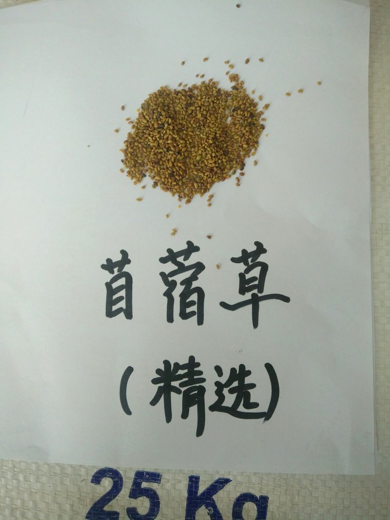 紫花苜蓿种子价格