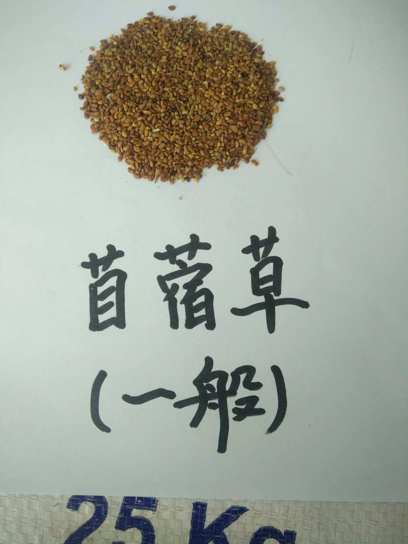 紫花苜蓿种子价格