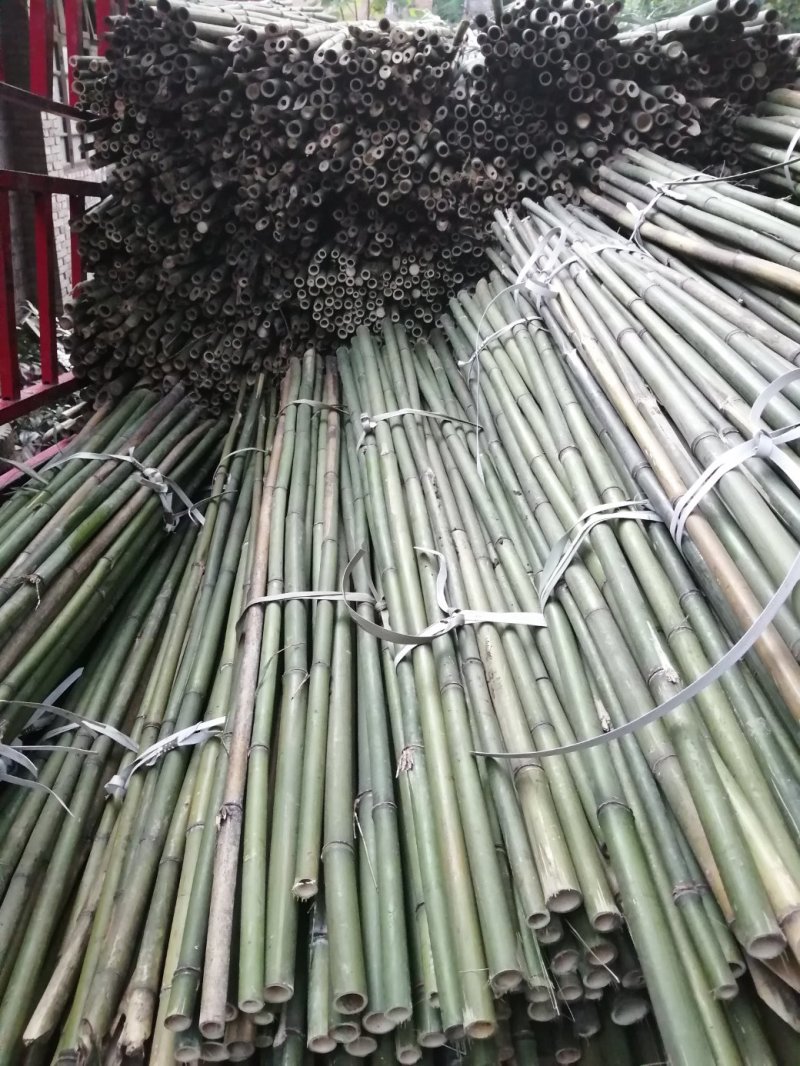 竹竿
