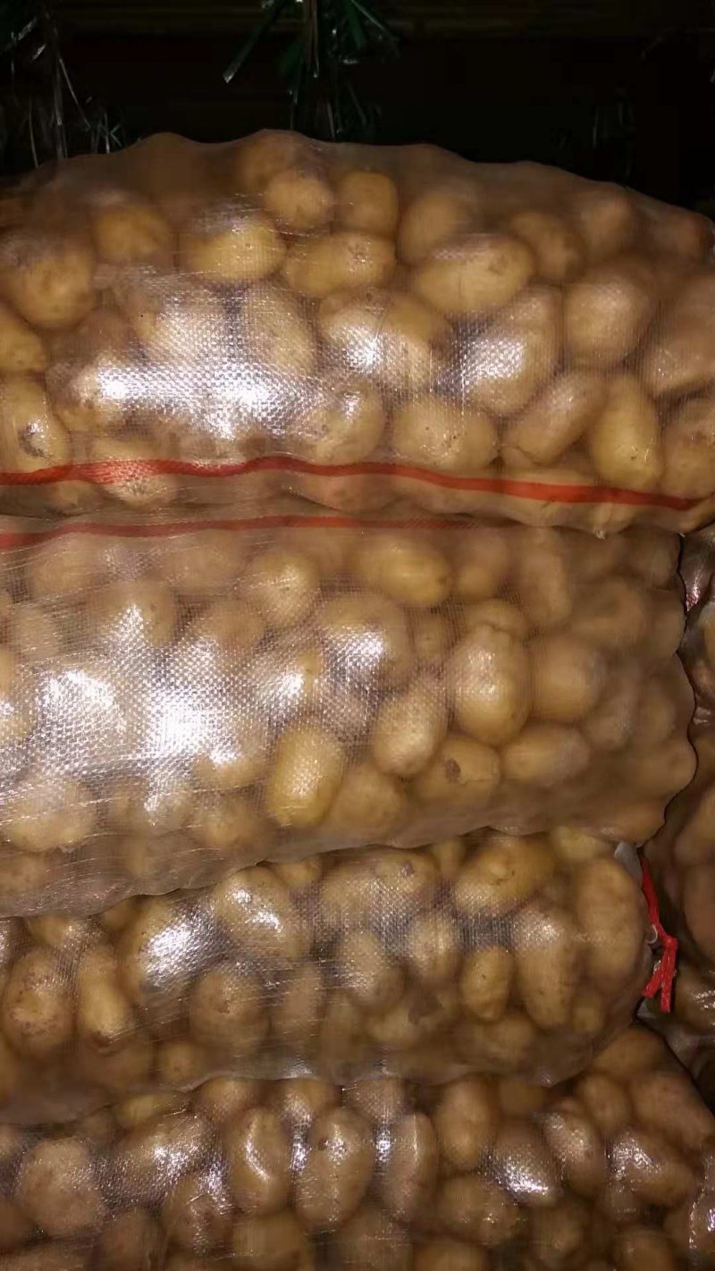 精品小土豆产地直发荷兰十五土豆2~4两1-3两