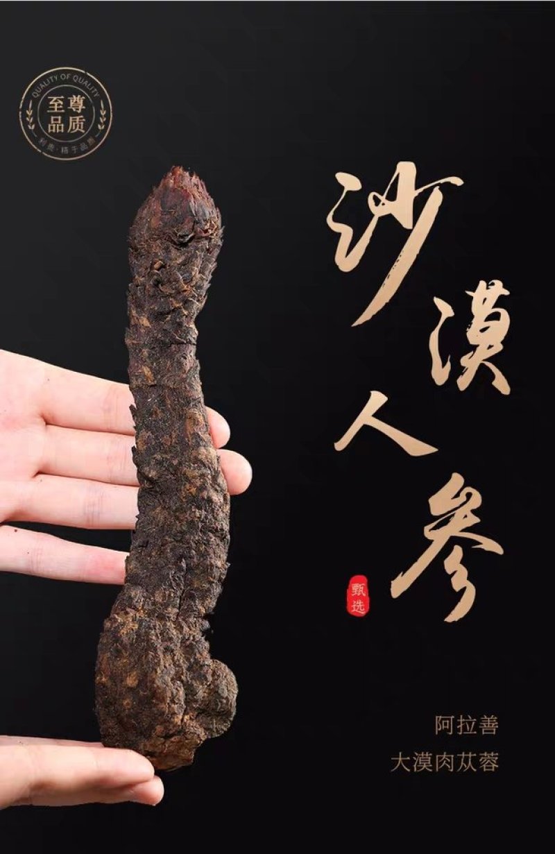 肉苁蓉阿拉善野生新疆中药材批发滋补泡酒料