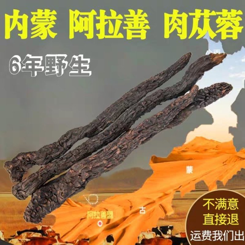 肉苁蓉阿拉善野生新疆中药材批发滋补泡酒料