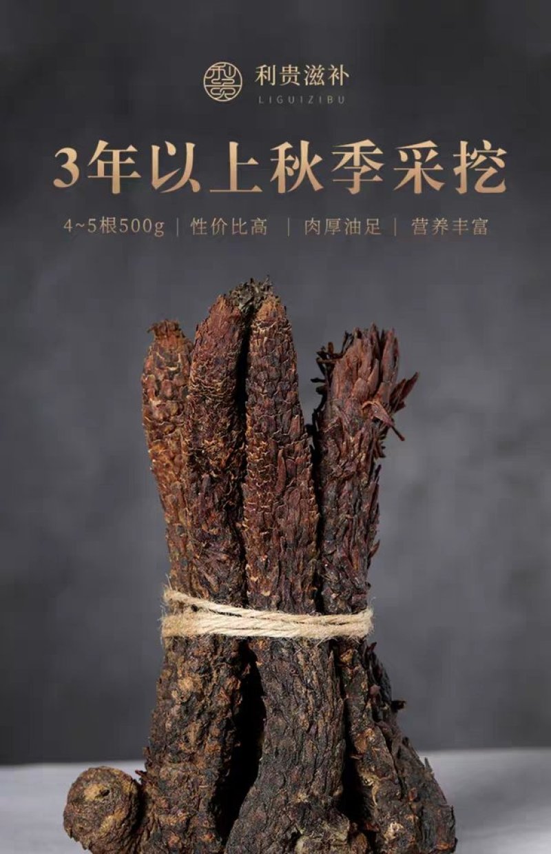 肉苁蓉阿拉善野生新疆中药材批发滋补泡酒料