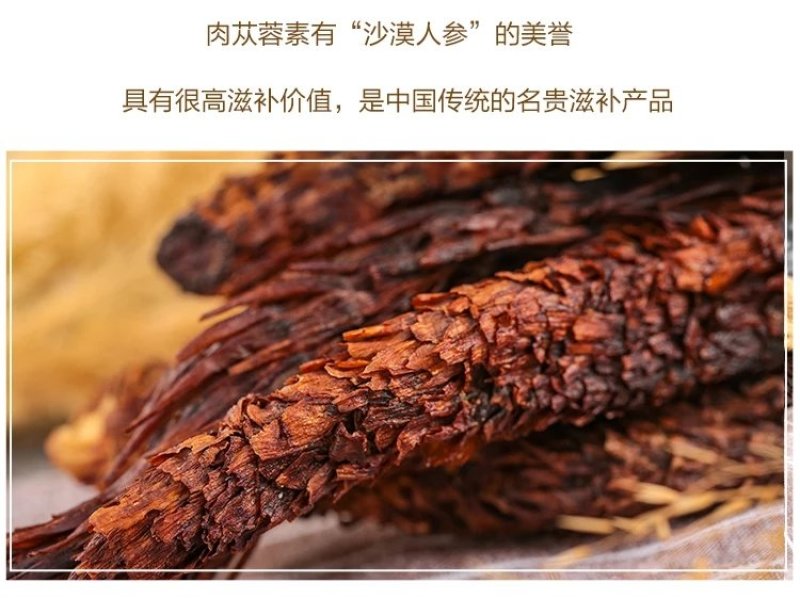 肉苁蓉阿拉善野生新疆中药材批发滋补泡酒料