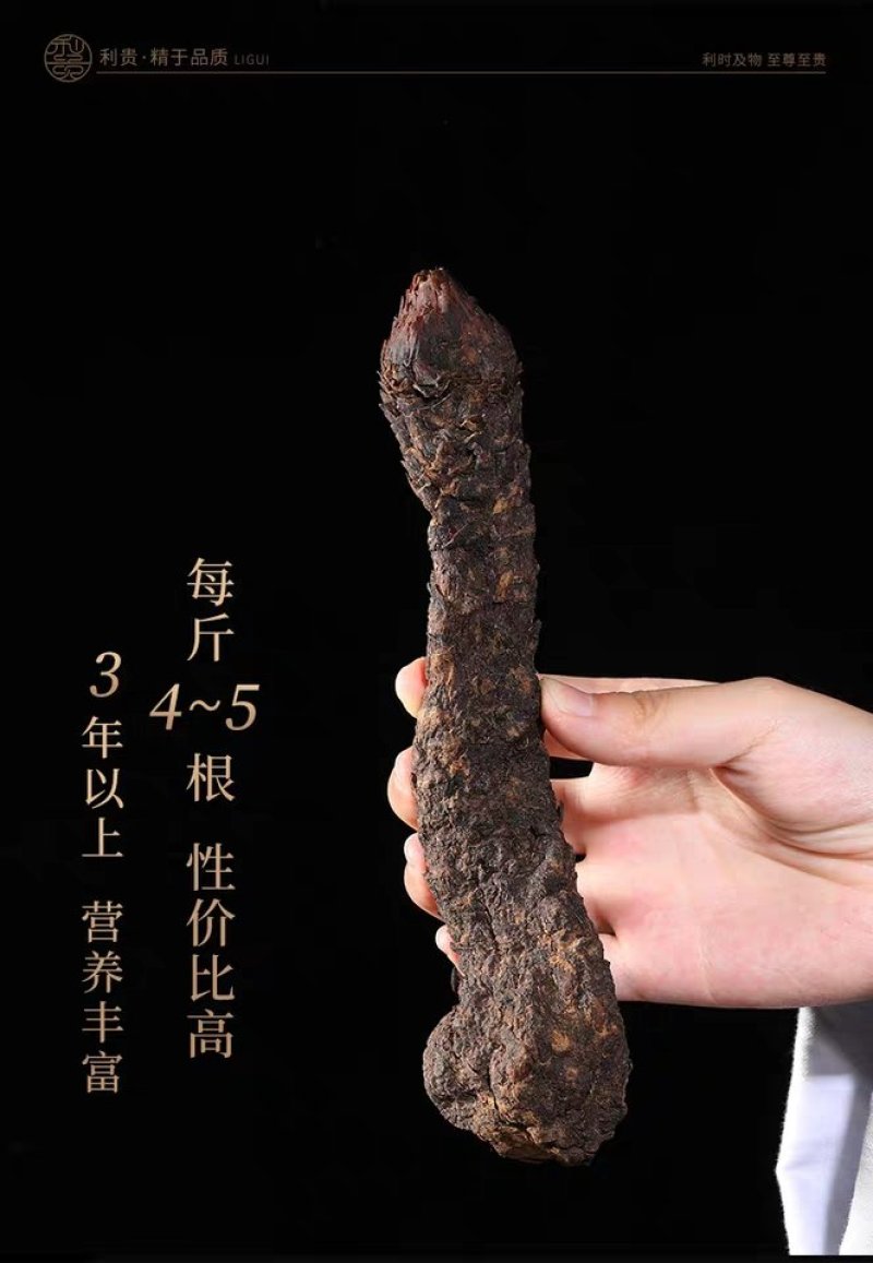 肉苁蓉阿拉善野生新疆中药材批发滋补泡酒料