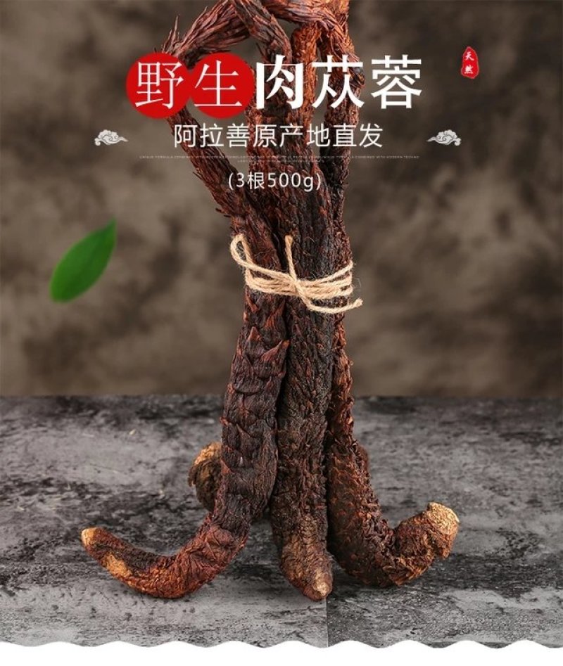 肉苁蓉阿拉善野生新疆中药材批发滋补泡酒料