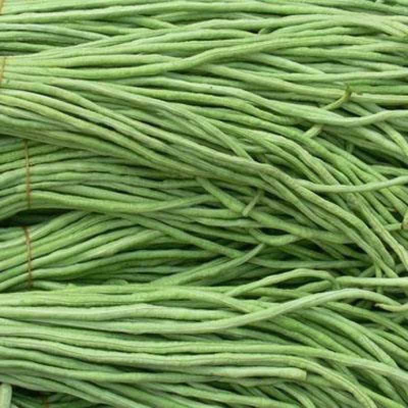 精选鲜嫩豆角大量供货价格公道