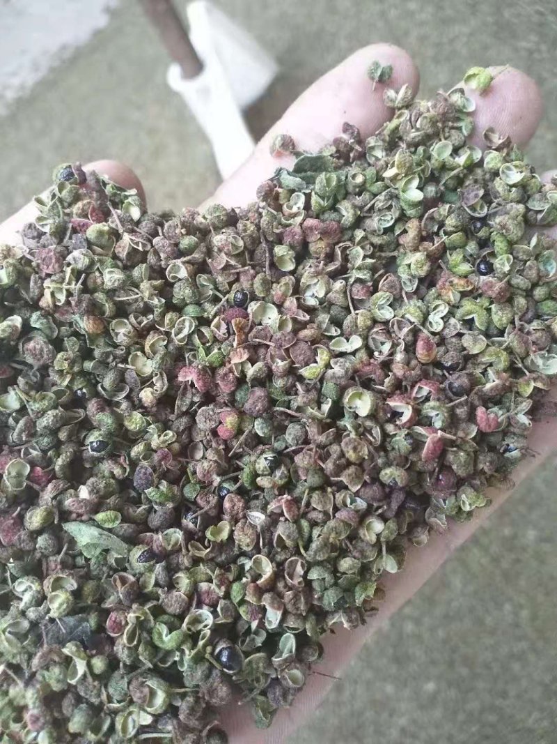 大红袍花椒