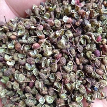 大红袍花椒
