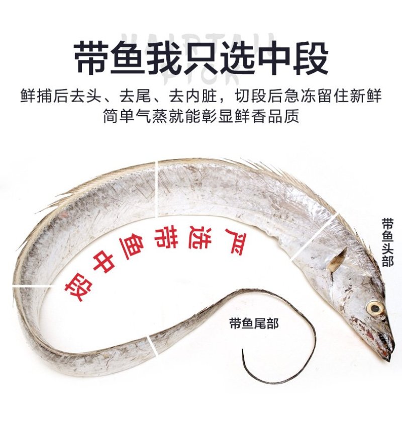 零售新鲜海带鱼6斤装冷冻海鲜小眼刀鱼