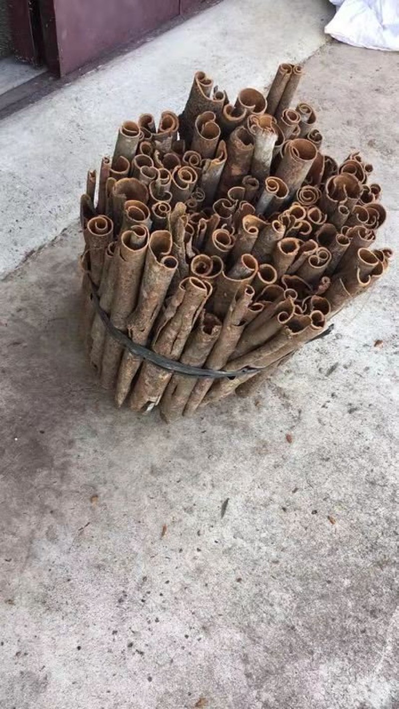 广西特产桂皮