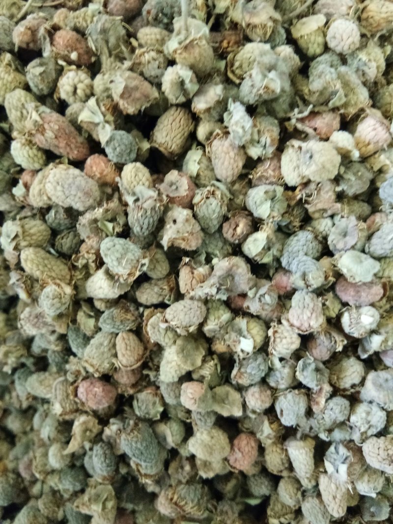 野生覆盆子颗粒饱满货干颜色好