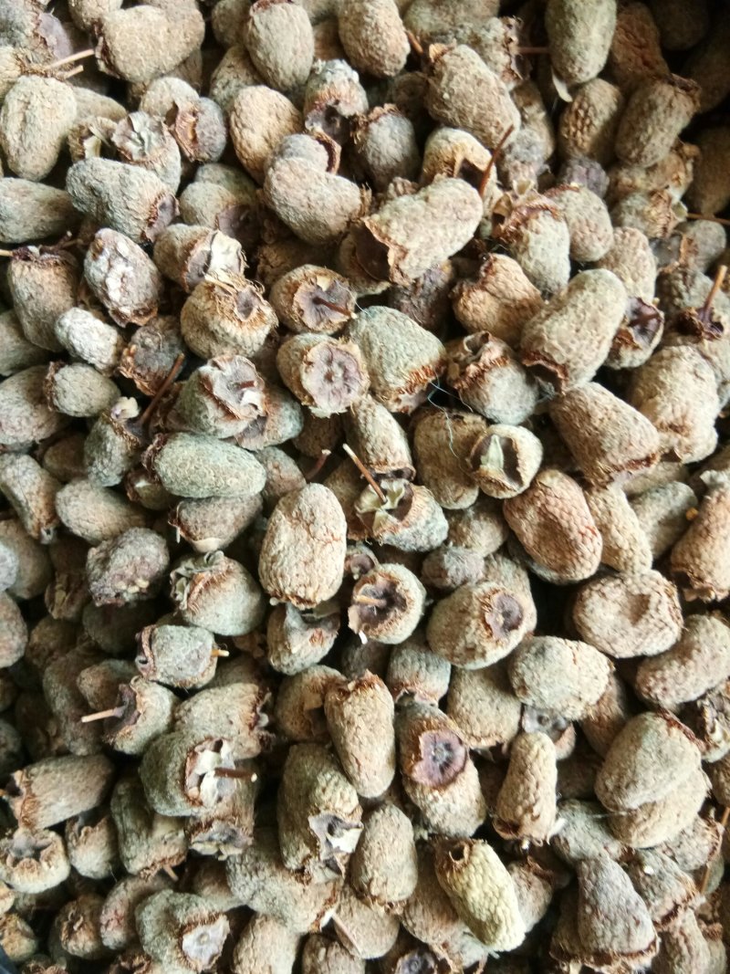 野生覆盆子颗粒饱满货干颜色好