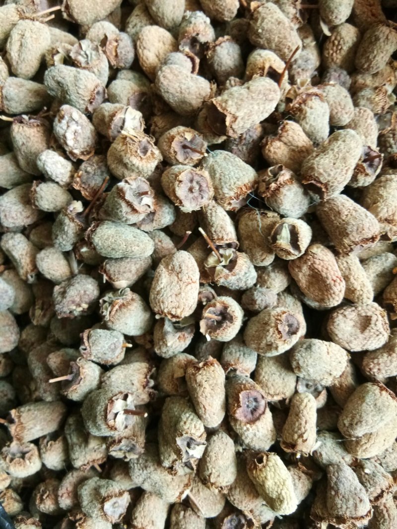 野生覆盆子颗粒饱满货干颜色好