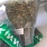 伸筋草两石松狮子草舒筋草农家初选农副产品