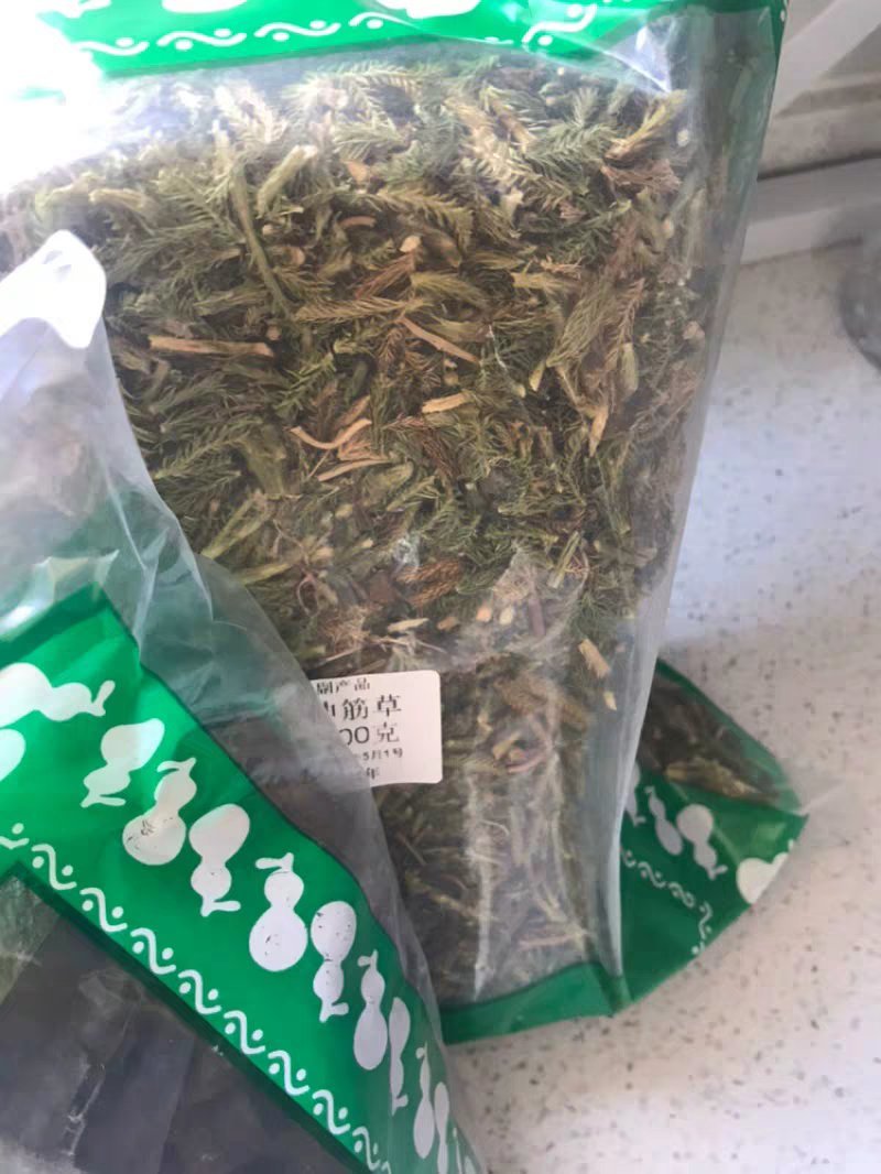 伸筋草两石松狮子草舒筋草农家初选农副产品