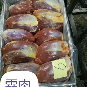 鲜马肉，精品马肉，有4分体，8分体，质量保证，一手货源