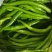 【牛商推荐】精品线椒产地直发常年供货保证质量
