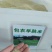 早熟禾种子低矮耐寒草坪种子庭院绿化护坡草子北方种植首先