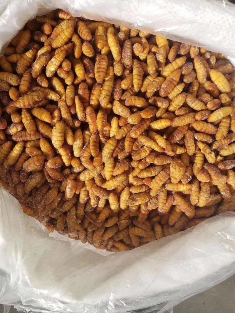 蚂蚱，