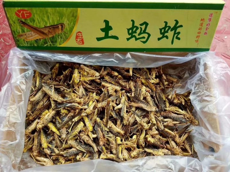 蚂蚱，