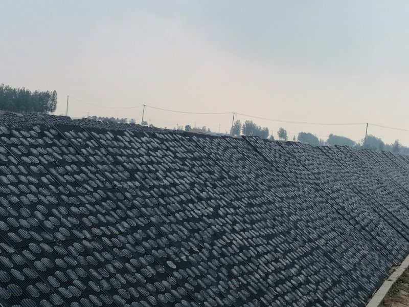 红薯粉皮！！