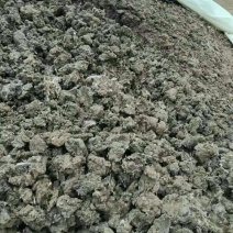 发酵鸡粪，干鸡粪，生物菌发酵鸡粪，改良土壤。厂家直发