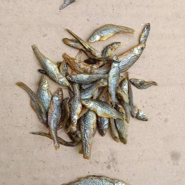 湖南自制火焙鱼干