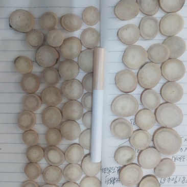 精品白芍片