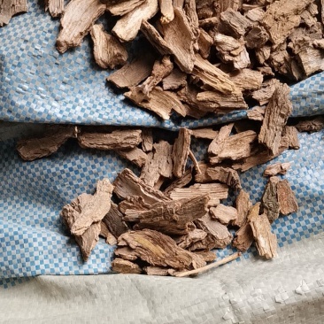 地骨皮产地大货供应家种地骨皮