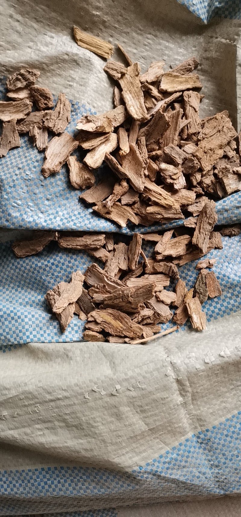 地骨皮产地大货供应家种地骨皮