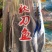 秋刀鱼