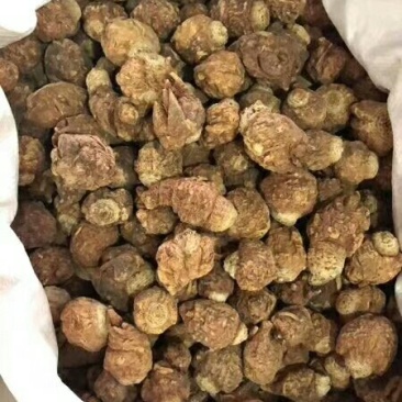玛卡，黄玛卡，黑玛卡。。。。。