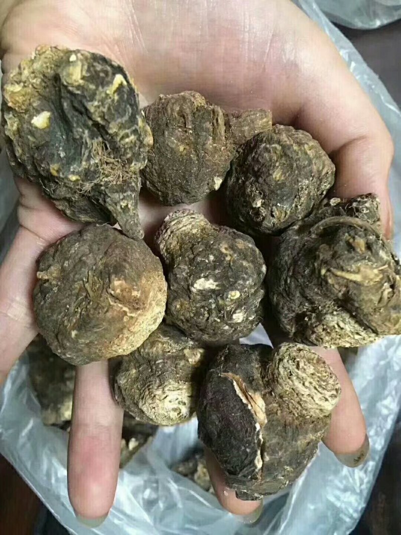玛卡，黄玛卡，黑玛卡。。。。。