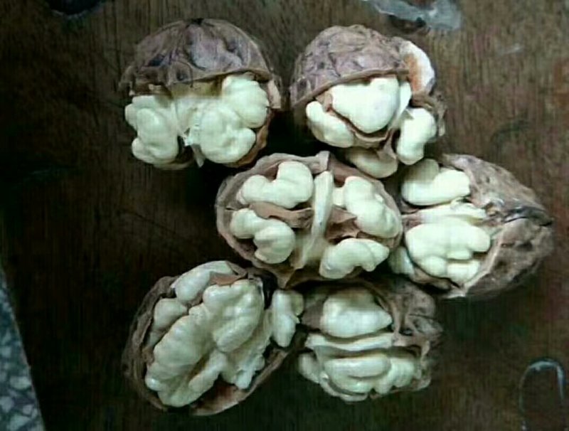 黑桃