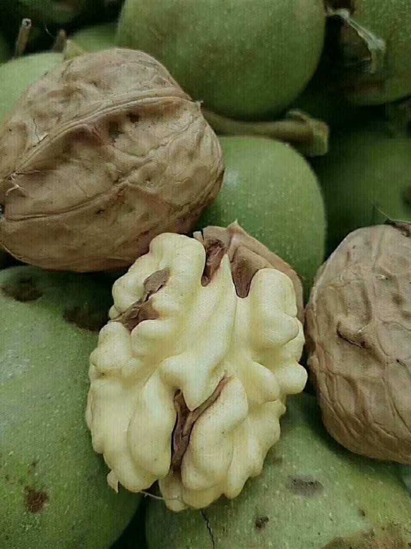黑桃