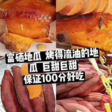 山东西瓜红烟25红香蕉香港红紫薯大量供应红薯批发全国发货