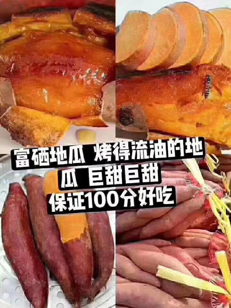山东西瓜红烟25红香蕉香港红紫薯大量供应红薯批发全国发货